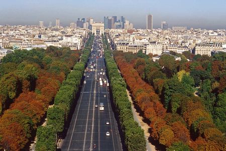 Champs Elysees from up above autumn trees